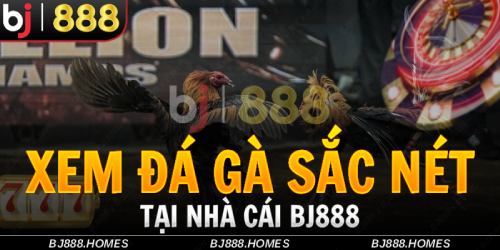 Đá Gà BJ888 - BJ88