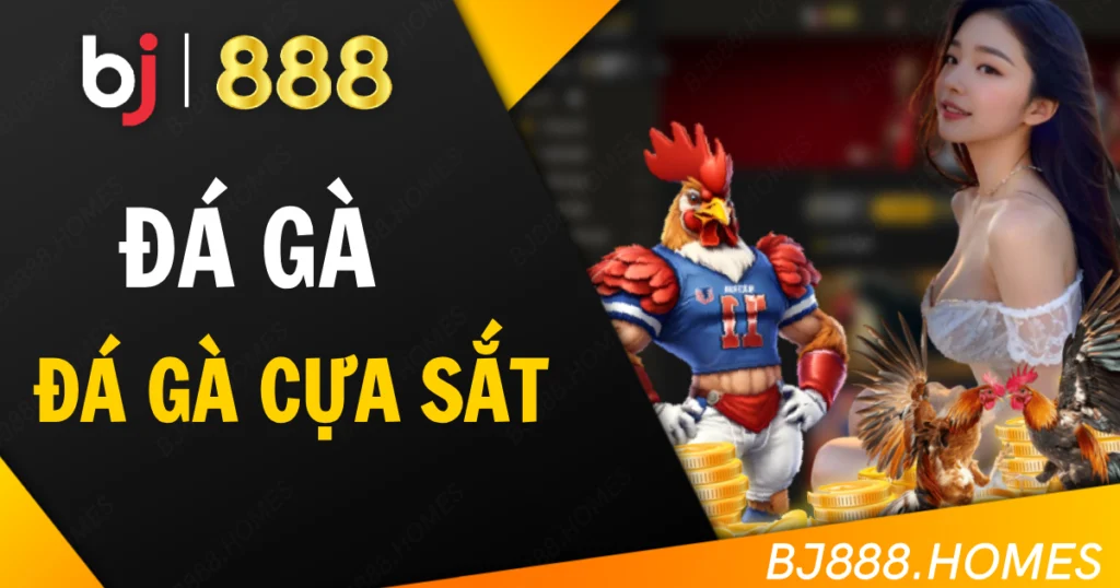 Luật chơi đá gà cựa sắt