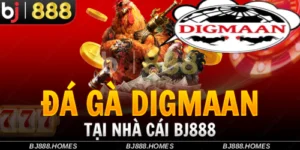 Lý do chọn BJ888 cho đá gà Digmaan