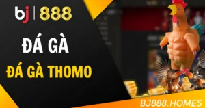 Cá cược thể thao