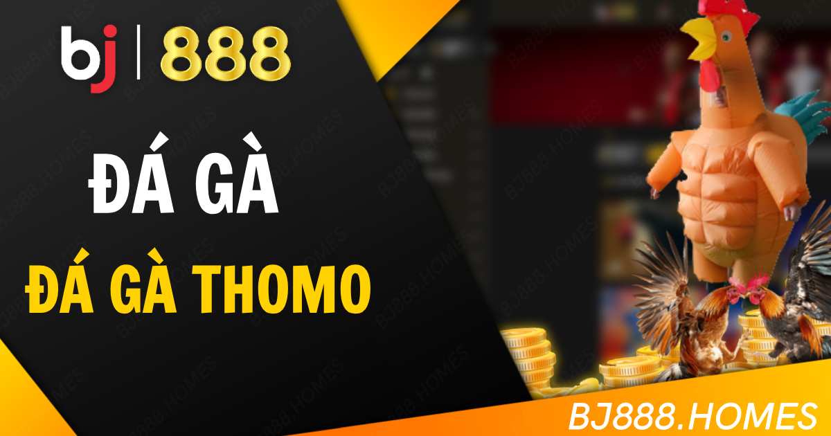 Giới thiệu về BJ888 và đá gà Thomo