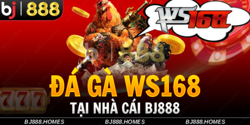 Giới Thiệu Về BJ888 Và Đá Gà SV388