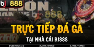 Trực Tiếp Đá Gà BJ888