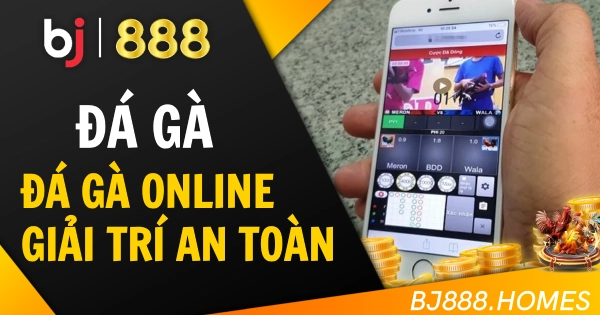Đá Gà Online, Giải Trí An Toàn Cho Kê Thủ