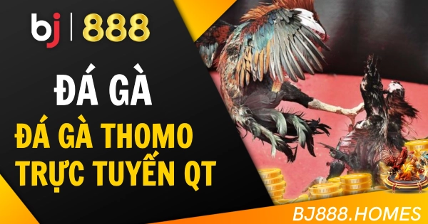 Đá Gà Thomo Trực Tuyến Chuẩn Quốc Tế