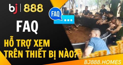 Hỗ trợ xem trực tiếp trên thiết bị nào?