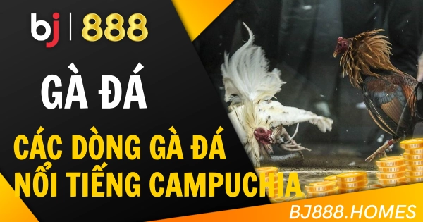 Các Dòng Gà Đá Nổi Tiếng Ở Campuchia