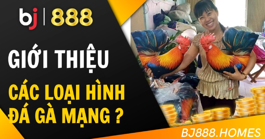 Các loại hình đá gà phát trực tiếp