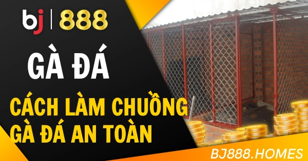 Cách Làm Chuồng Gà Đá Thoáng Mát Và An Toàn