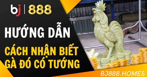 Cách Nhận Biết Gà Đá Có Tướng Lãnh Đạo