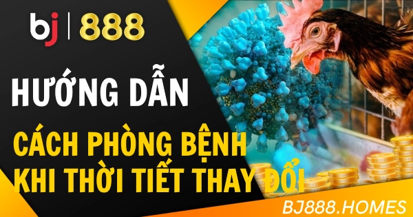 Cách Phòng Bệnh Cho Gà Đá Khi Thời Tiết Thay Đổi