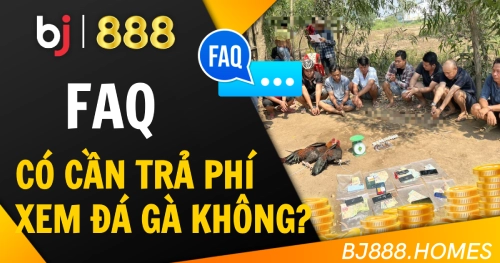 Có cần trả phí để xem trực tiếp đá gà không?