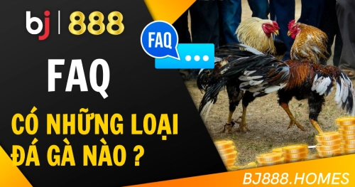 Có thể theo dõi những loại hình đá gà nào?