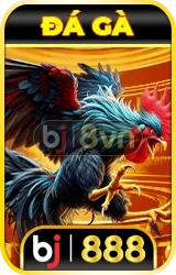 Đá gà BJ888