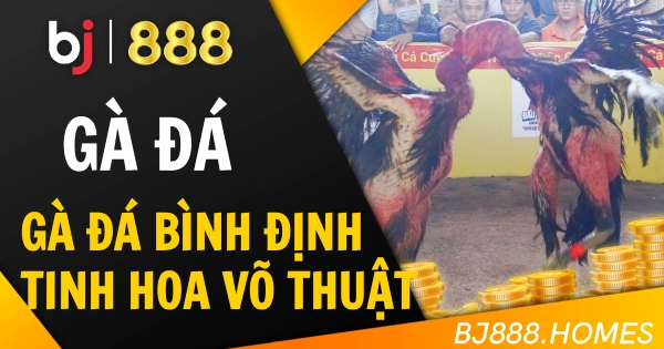 Gà Đá Bình Định – Tinh Hoa Võ Thuật Làng Gà