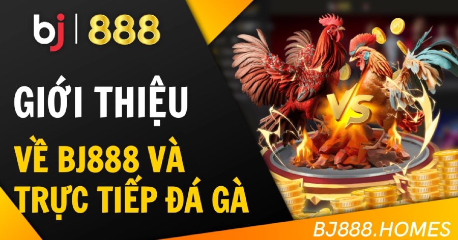 Giới thiệu tổng quan về BJ888