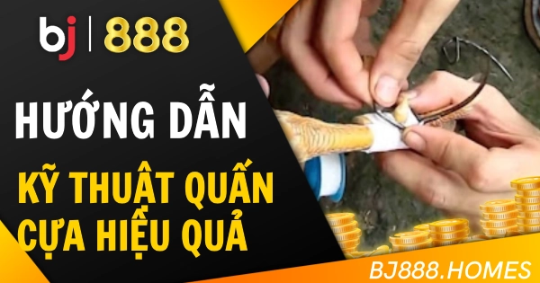 Kỹ Thuật Quấn Cựa Gà Đá An Toàn Và Hiệu Quả