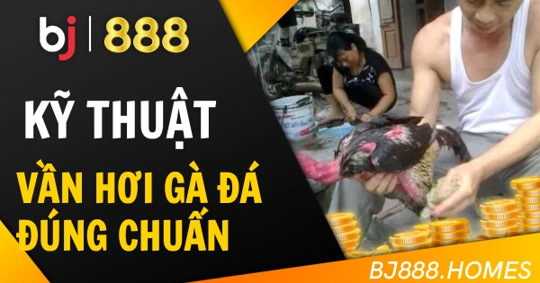 Kỹ Thuật Vần Hơi Cho Gà Đá Đúng Chuẩn