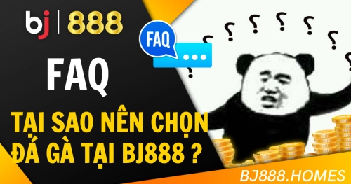 Tại sao nên chọn BJ888 thay vì các nền tảng khác?