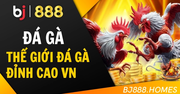 Thế Giới Đá Gà Đỉnh Cao Cho Người Chơi Việt