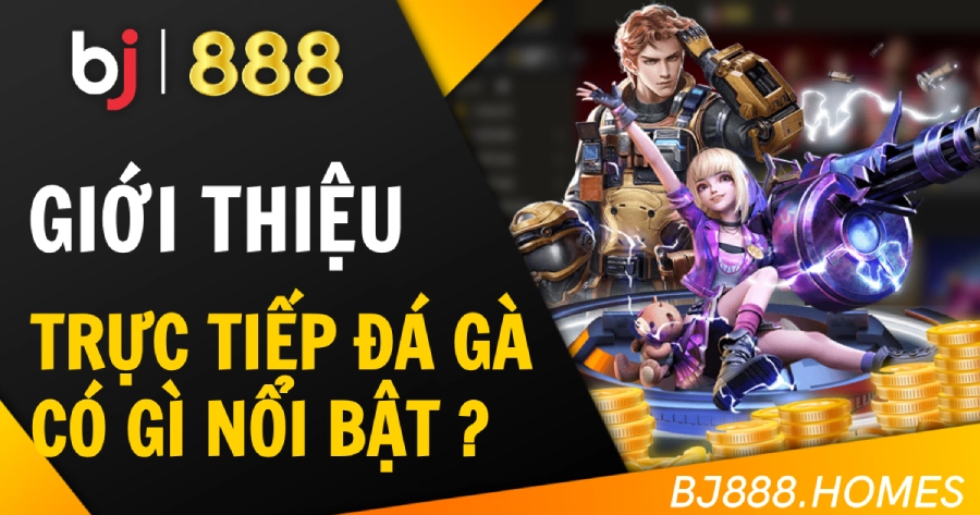 Trang phát trực tiếp đá gà tại BJ888 có gì nổi bật?