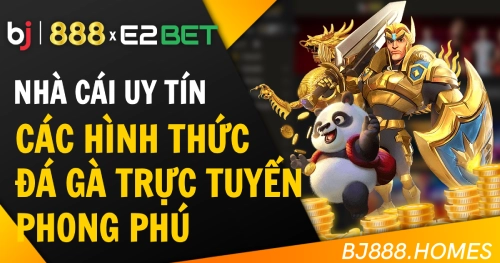 Các hình thức đá gà trực tuyến phong phú