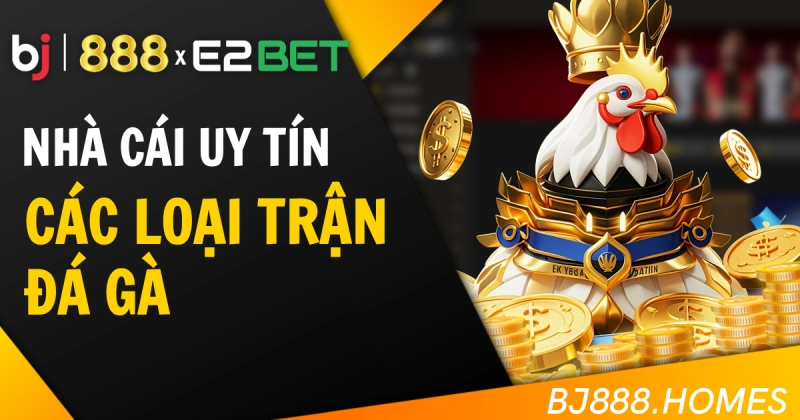 Các Loại Trận Đá Gà